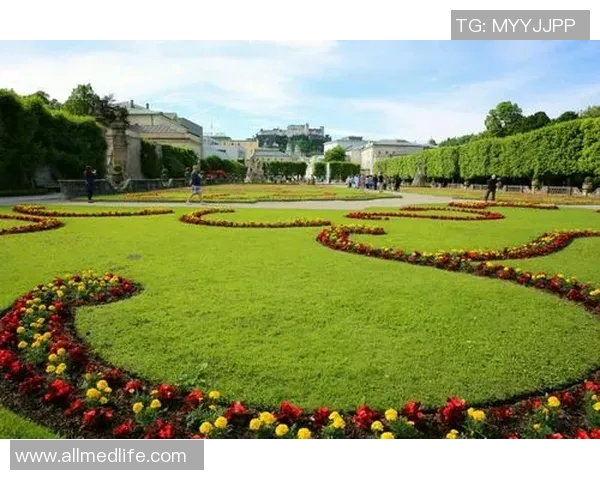 德国足球明星全景解析从历史传奇到现代巨星的辉煌之路 德国足球明星全景解析从历史传奇到现代巨星的辉煌之路