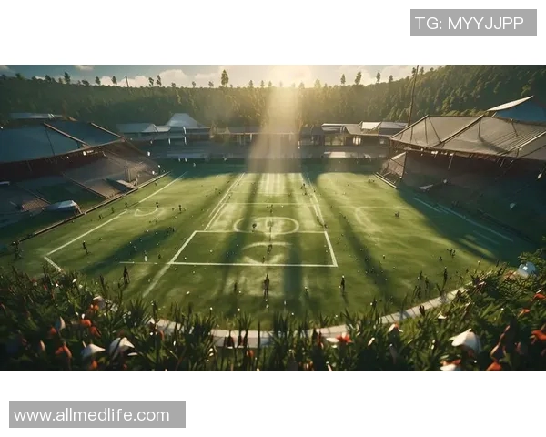 最花里胡哨的足球明星背后的真实故事与球场风采揭秘 最花里胡哨的足球明星背后的真实故事与球场风采揭秘