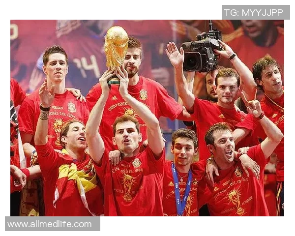 上一届欧洲杯冠军的辉煌历程与未来展望分析