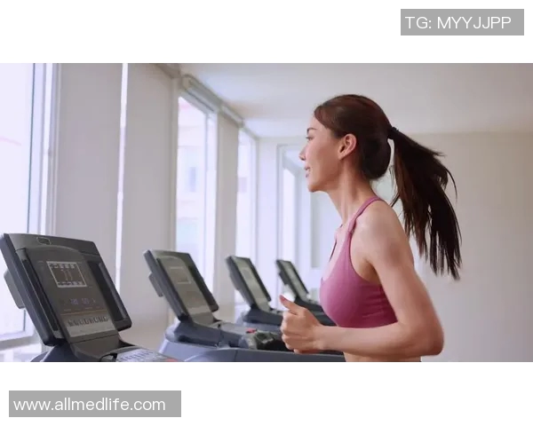 探索健身器材的多样性与体育锻炼的完美结合提升你的健康生活方式